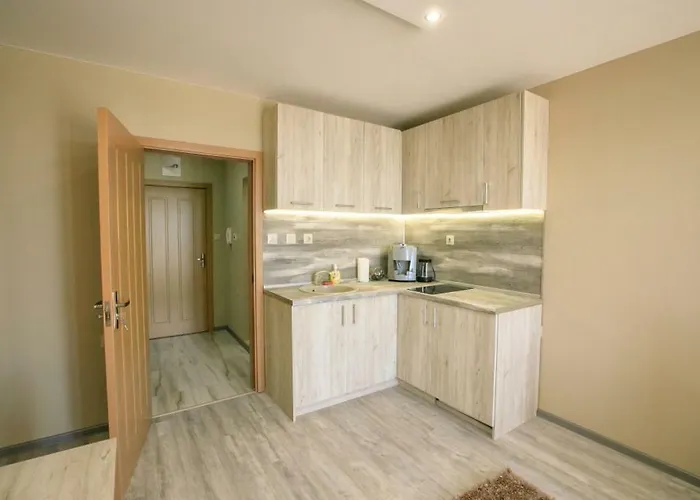 студиа криси Apartment