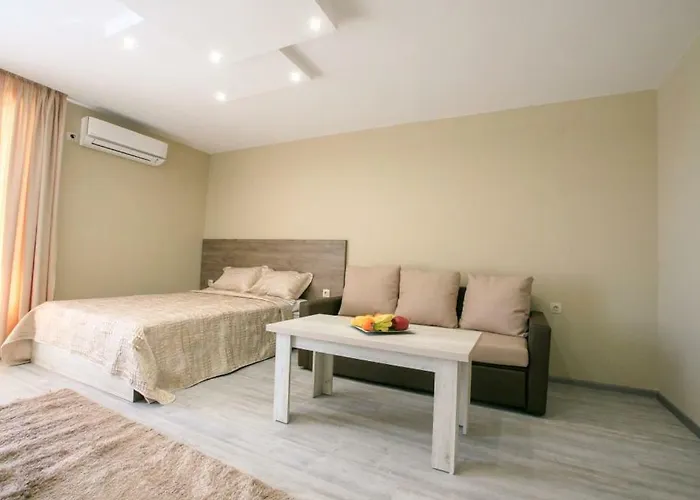 студиа криси *