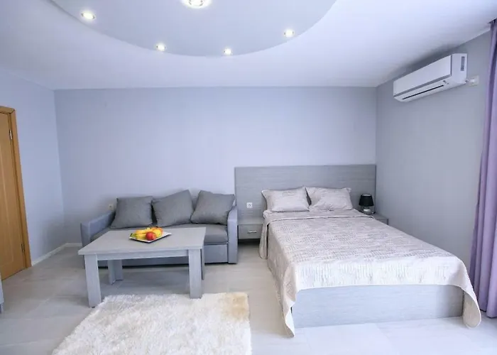 студиа криси *