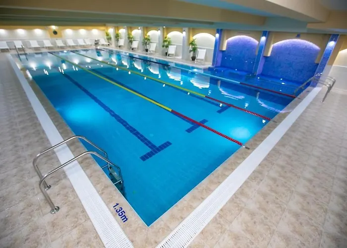 студиа криси *